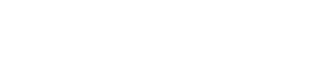 BitJem MAX